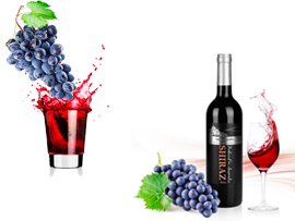 葡萄加工生產線